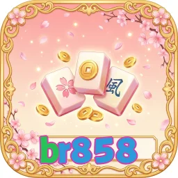 br858